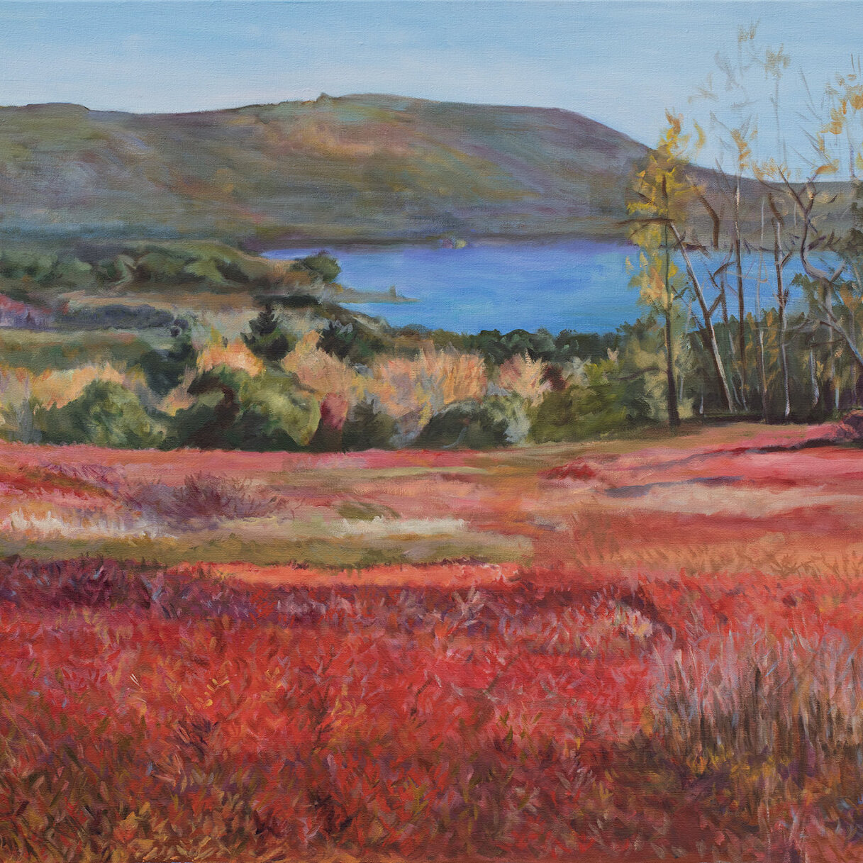 Oil painting of blueberry fields in fall