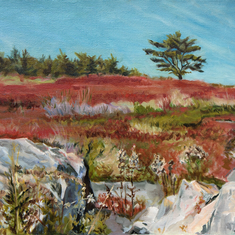 oil painting of Appleton Ridge image