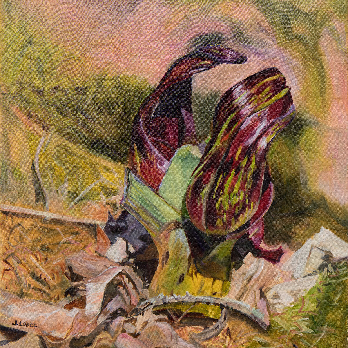 Oil painting of Skunk Cabbage Emerging