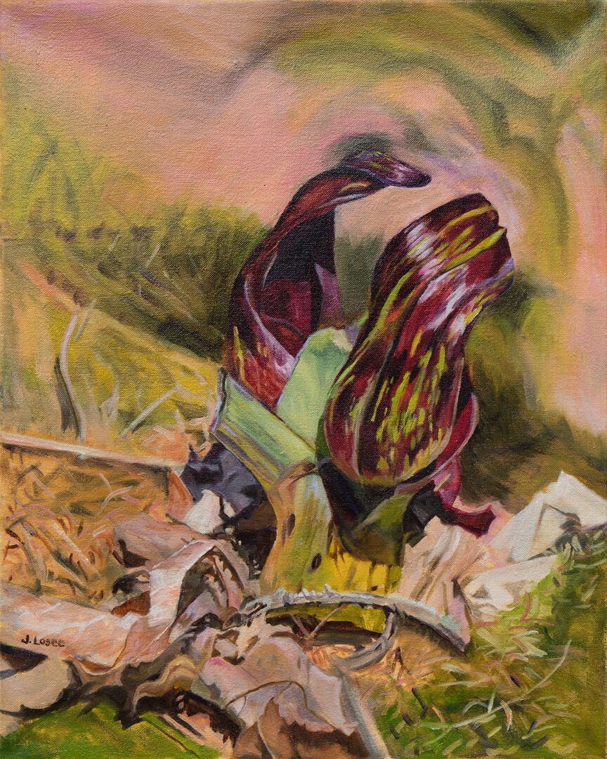 Oil painting of Skunk Cabbage Emerging
