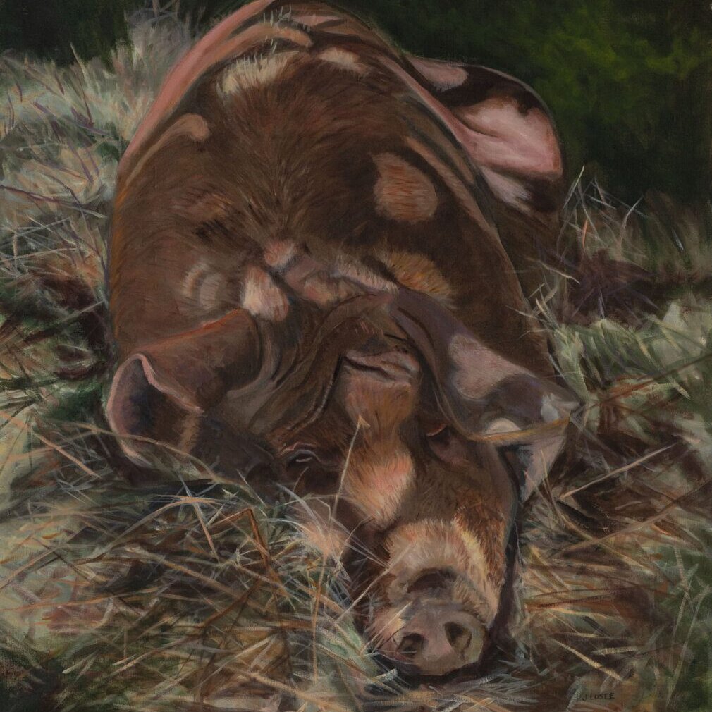 Oil painting of a brown pig sleeping