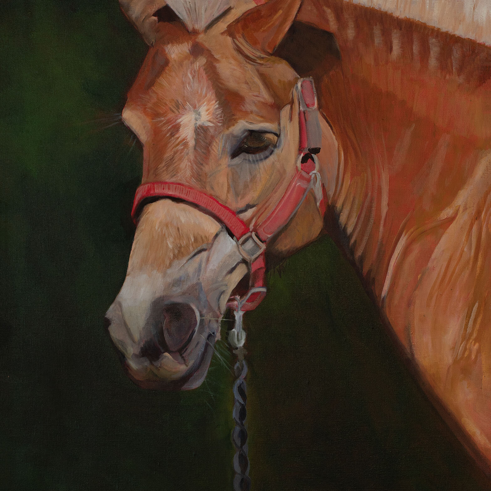 Picture of an Oil painting of a groomed horse