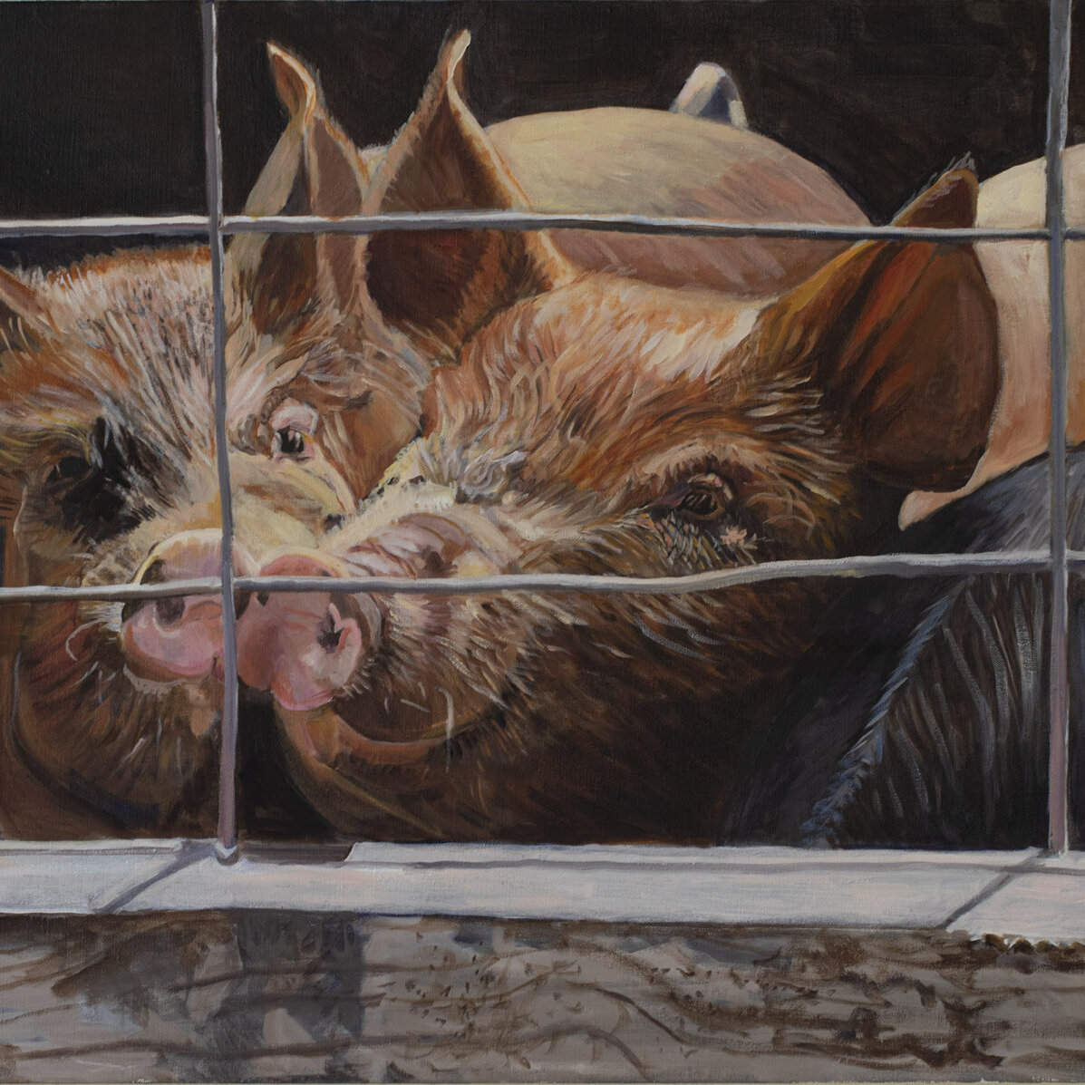 An oil on canvas painting of two pigs