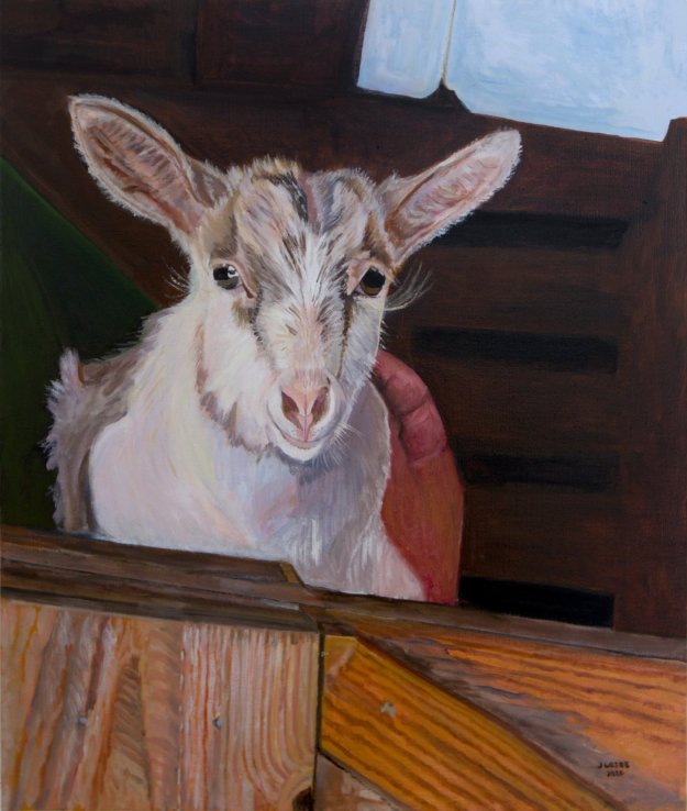 oil painting of an adorable baby goat