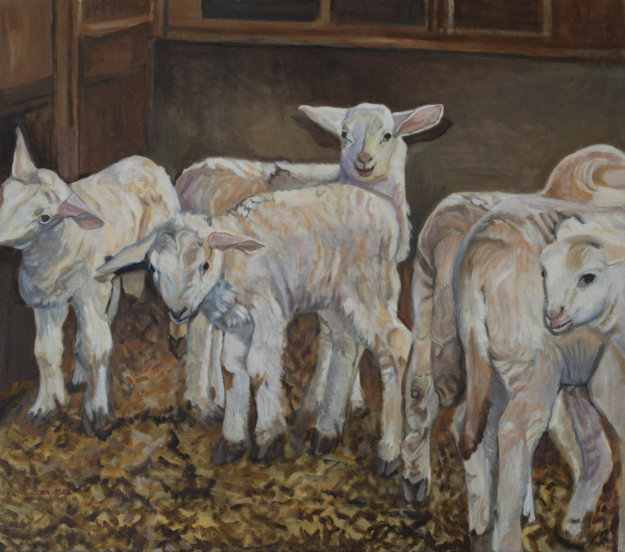 Oil Painting of Icelandic Cashmere Goats image