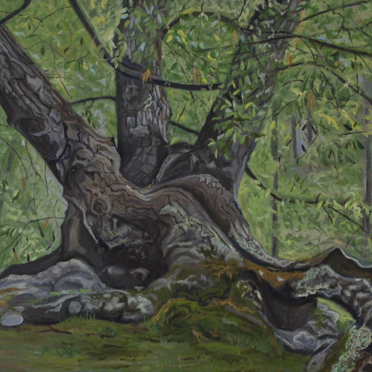 Oil painting of a scary tree image