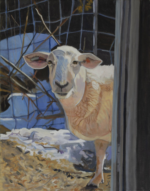 Oil Painting of an innocent Icelandic Cashmere Goat