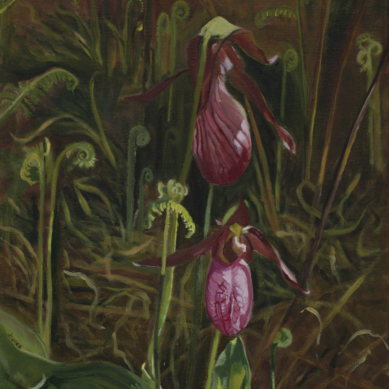 Beautiful oil painting of the Lady Slippers