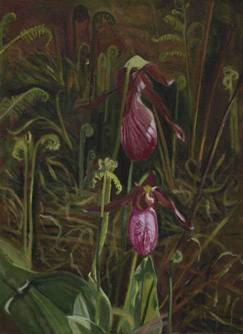 Beautiful oil painting of the Lady Slippers