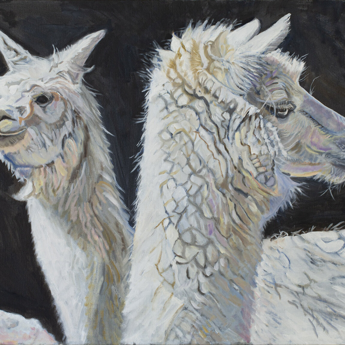 Oil Painting of Shy and Sophisticated Alpacas