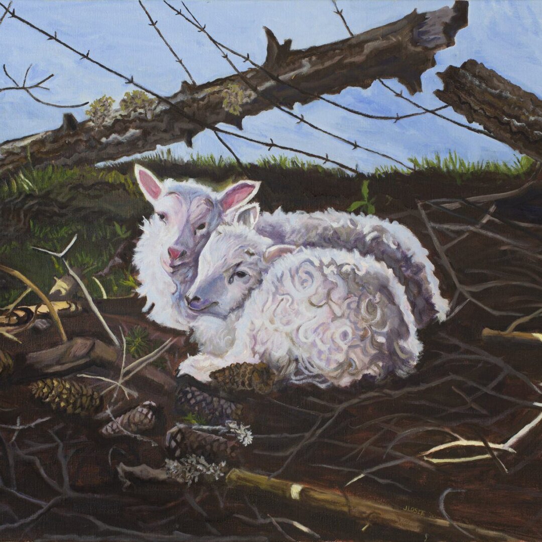 adorable oil painting of twin lambs