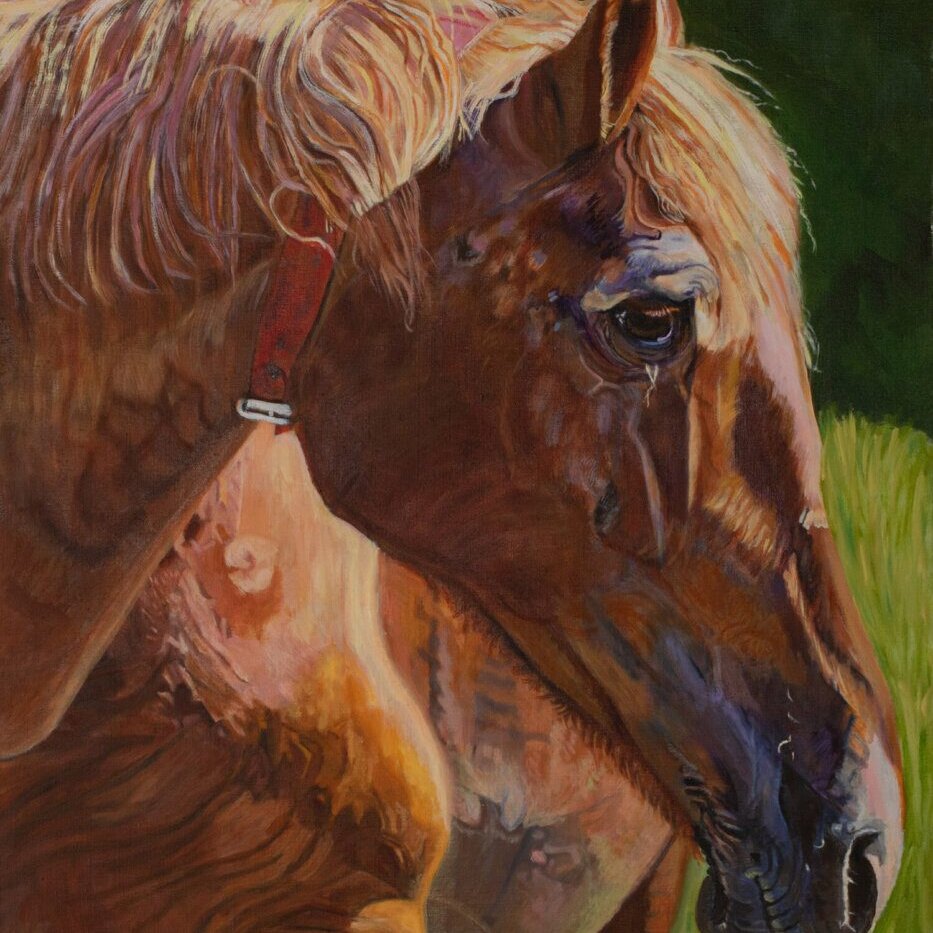 Beautiful Oil Painting of the Horse In Farm
