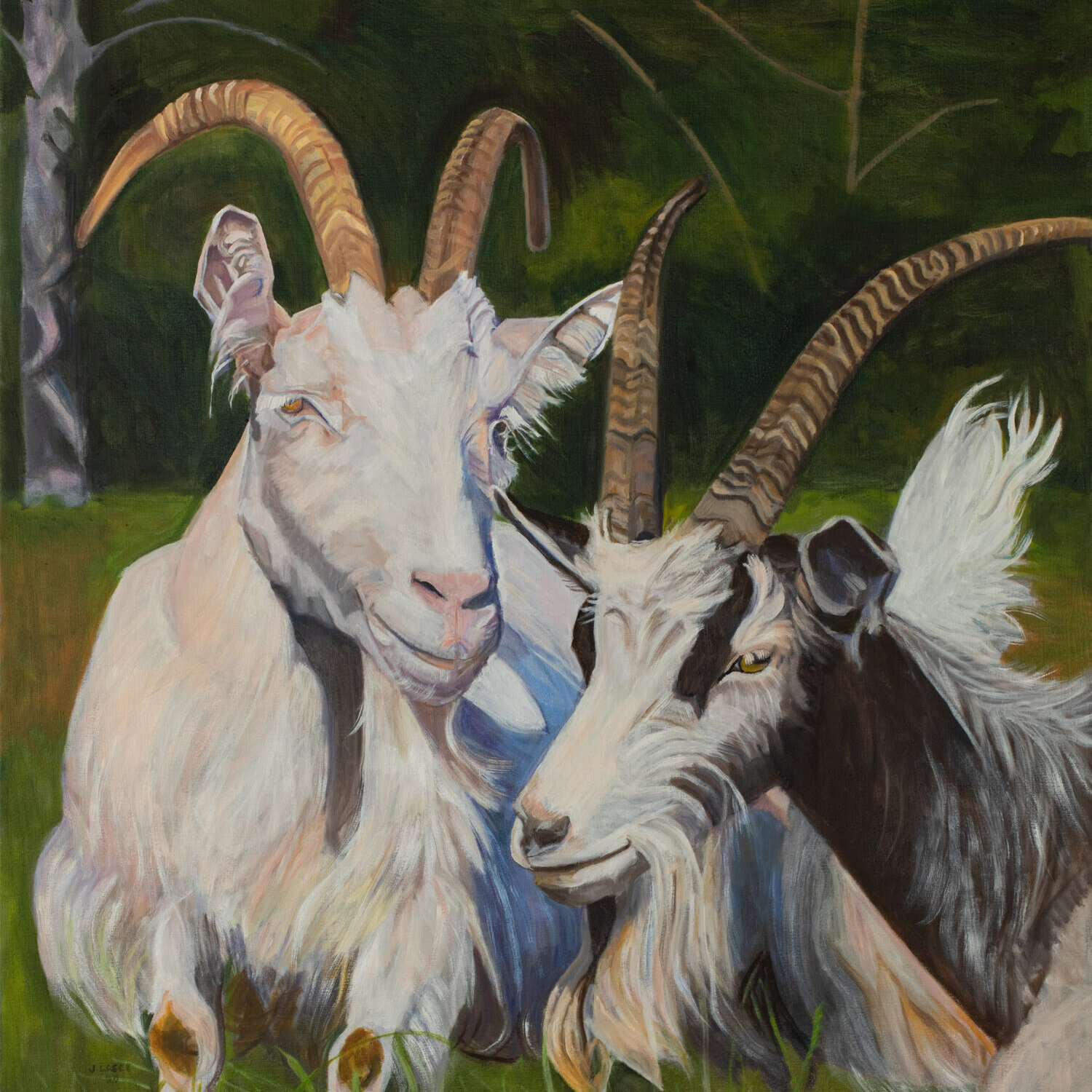 Painting Cashmere Goats Beau Chemin Preservation Farm