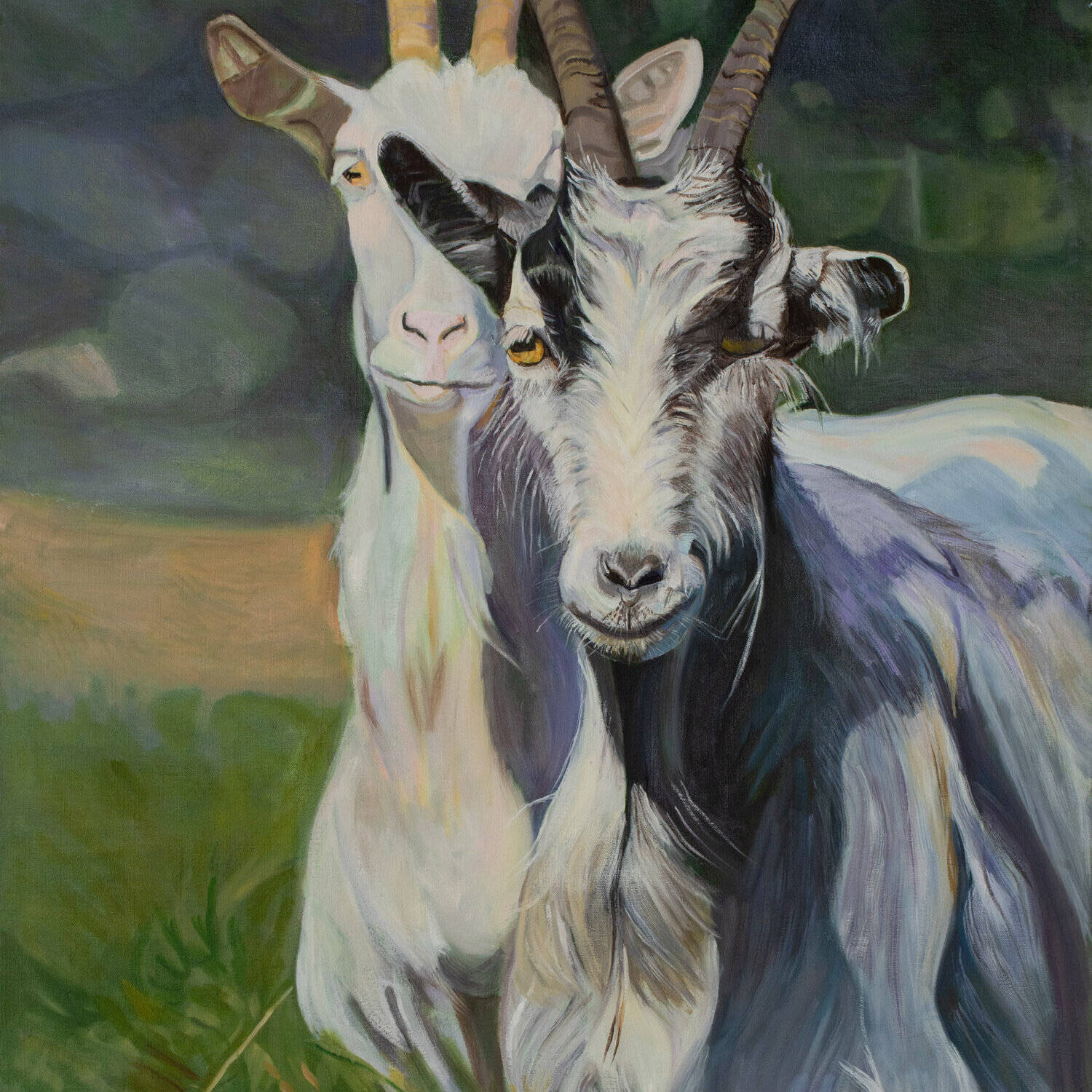 oil painting of Icelandic Cashmere goat