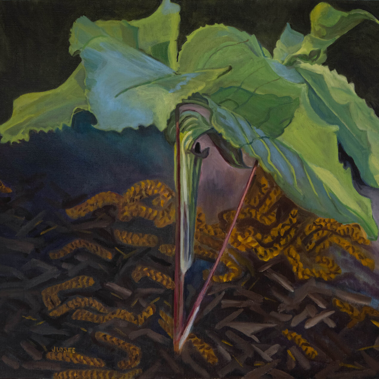 oil painting of the Jack in the Pulpit