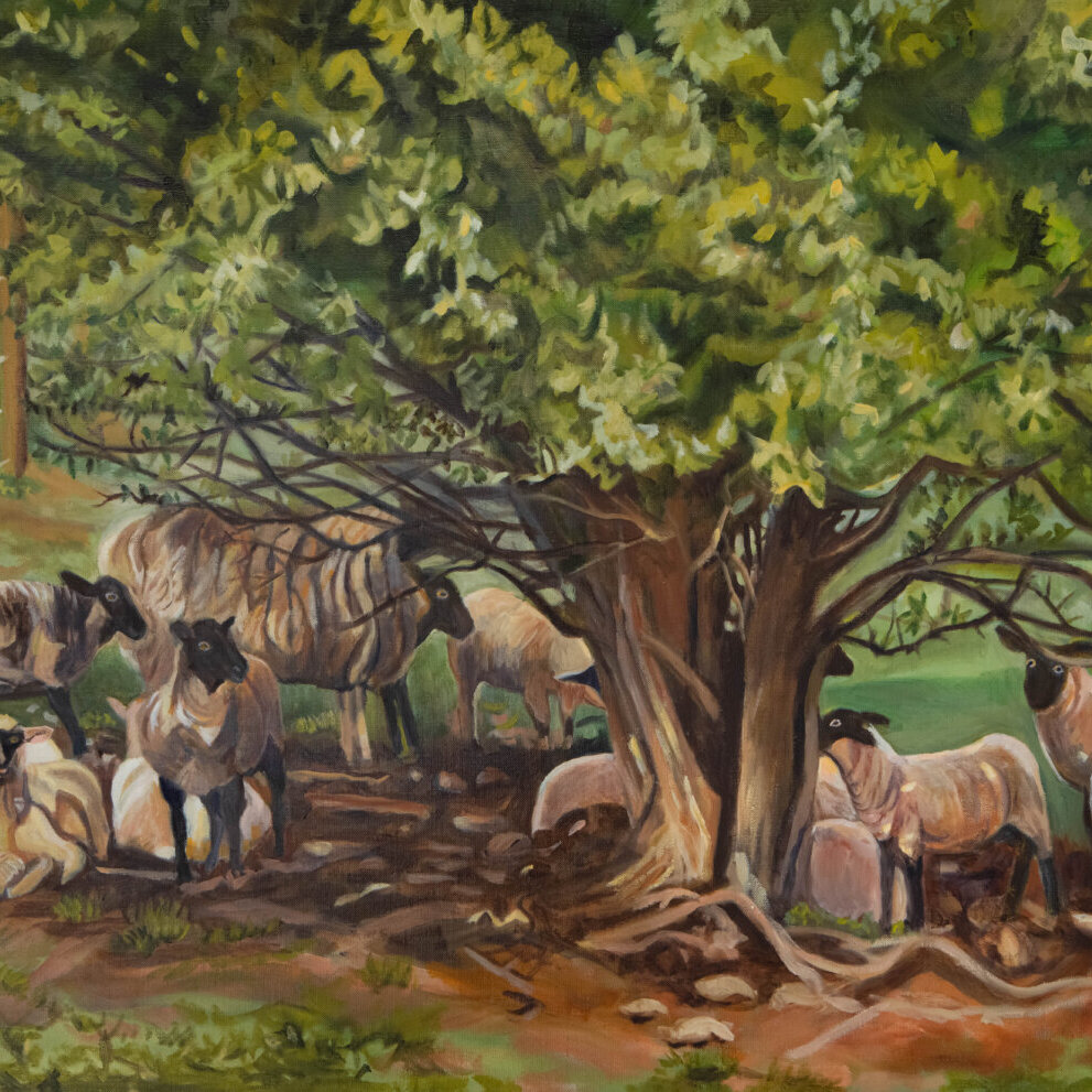 oil Painting of Sheep in the Countryside