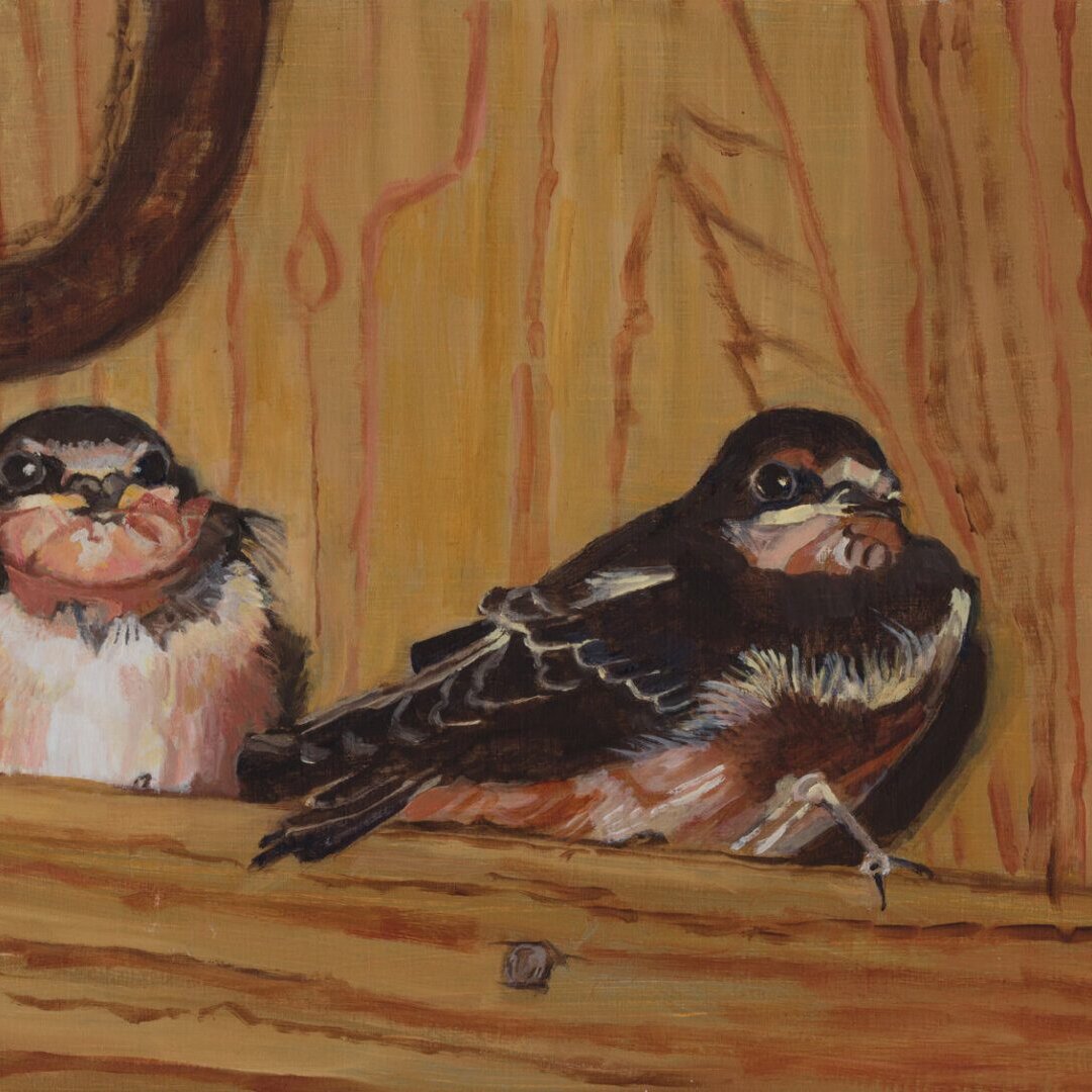 Beautiful Oil Painting of Baby Swallows