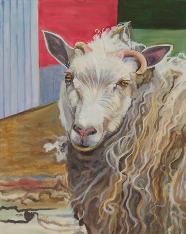 oil Painting of an adorable Cashmere Sheep