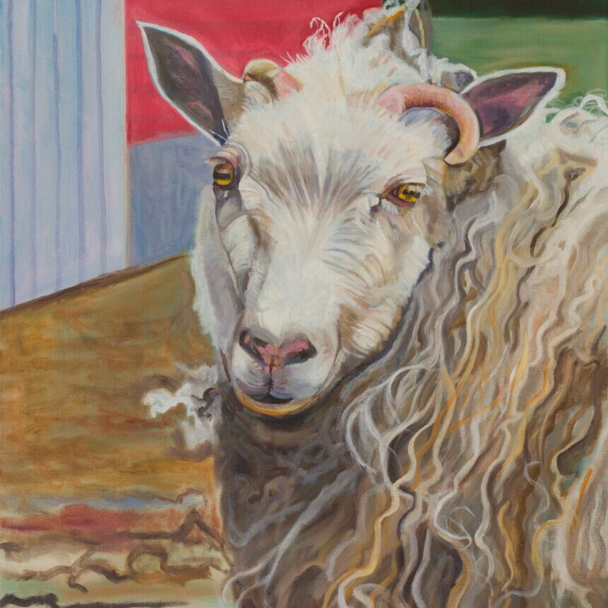 oil Painting of an adorable Cashmere Sheep
