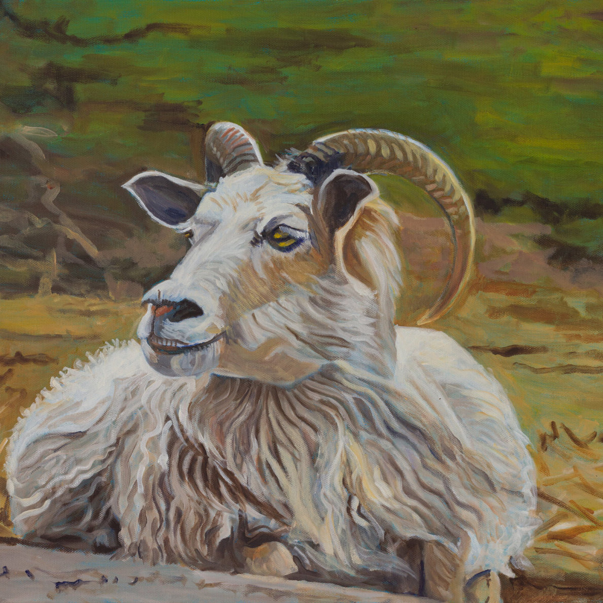 Adorable Oil Painting of Icelandic Sheep