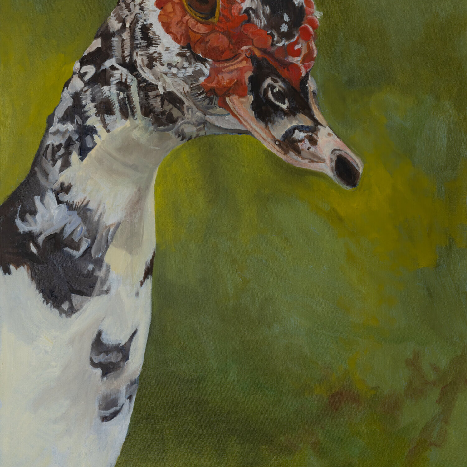 Beautiful oil Painting of Muscovy Duck