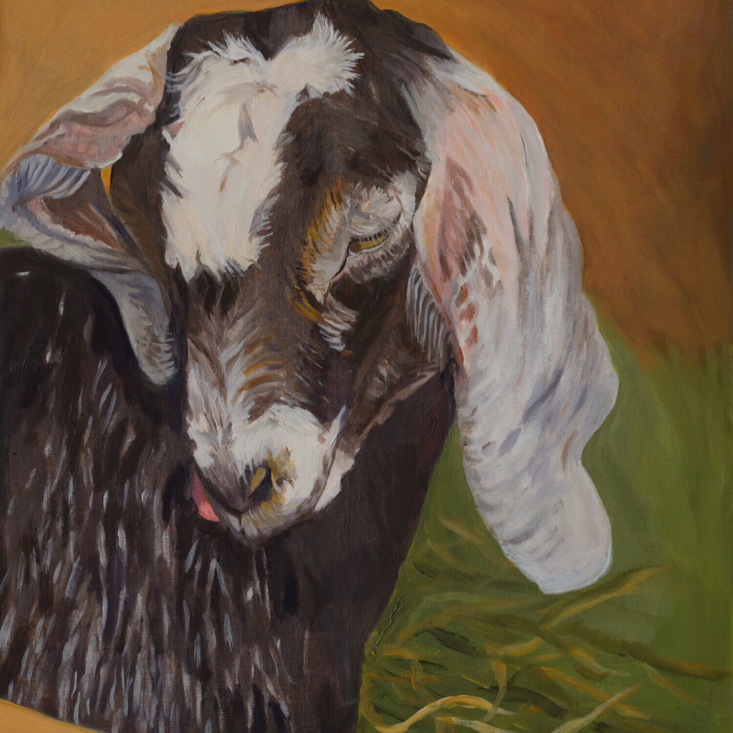 Painting of the Baby Nubian Goat