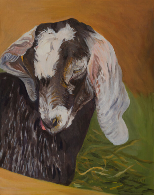 Painting of the Baby Nubian Goat