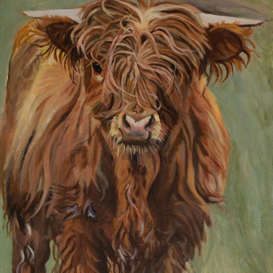 Painting of Scottish Highland Cow