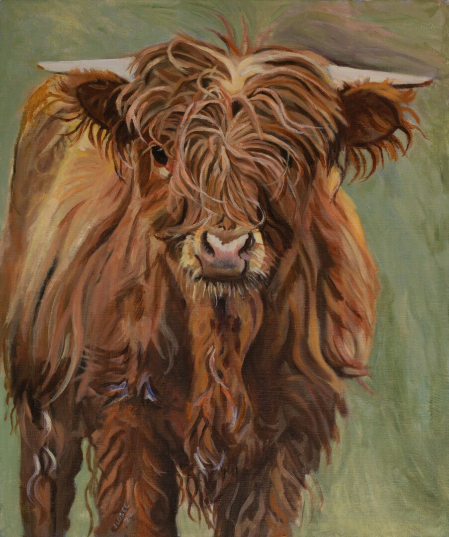 Painting of Scottish Highland Cow