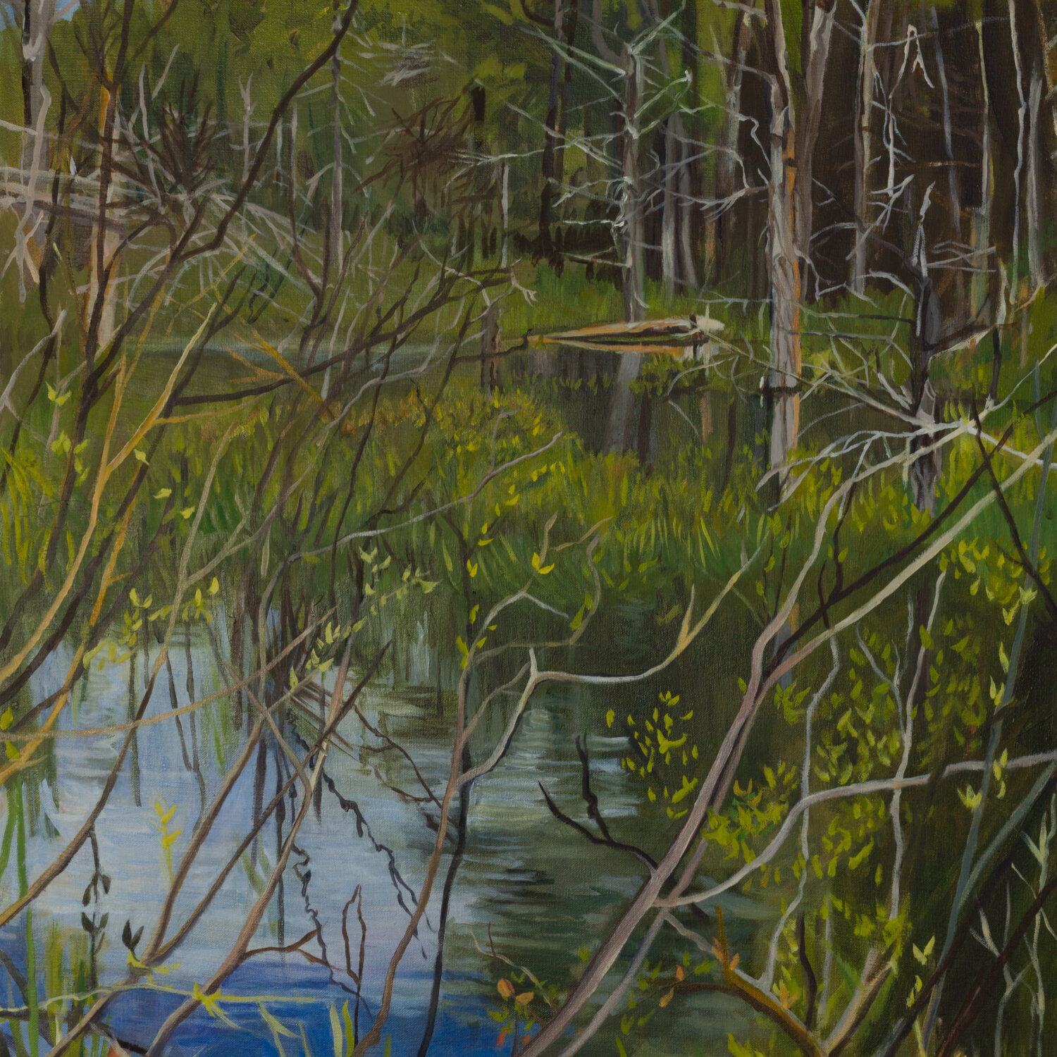 Painting of Sommerville Swamp by Joan