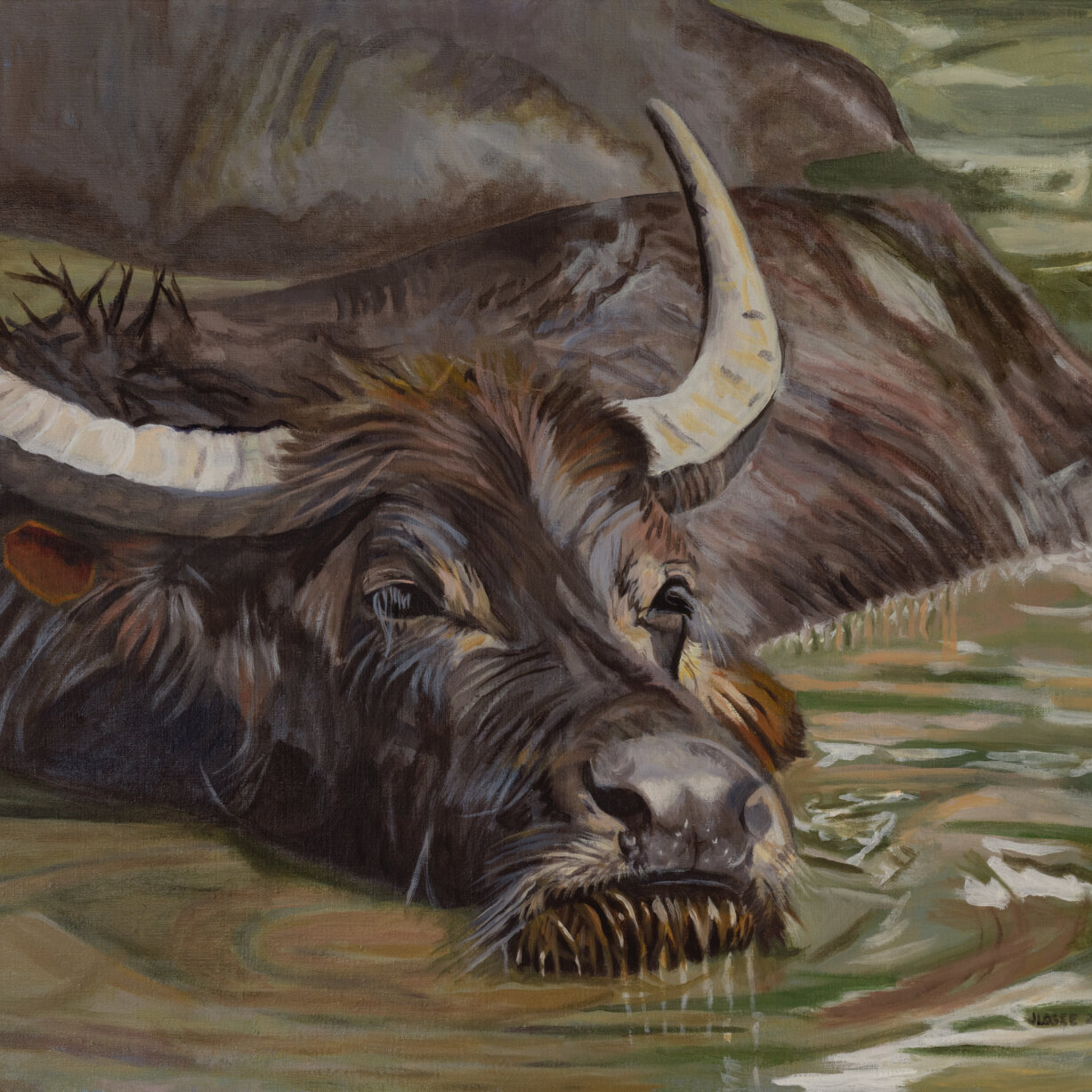 oil Painting of Water Buffalo Bathing