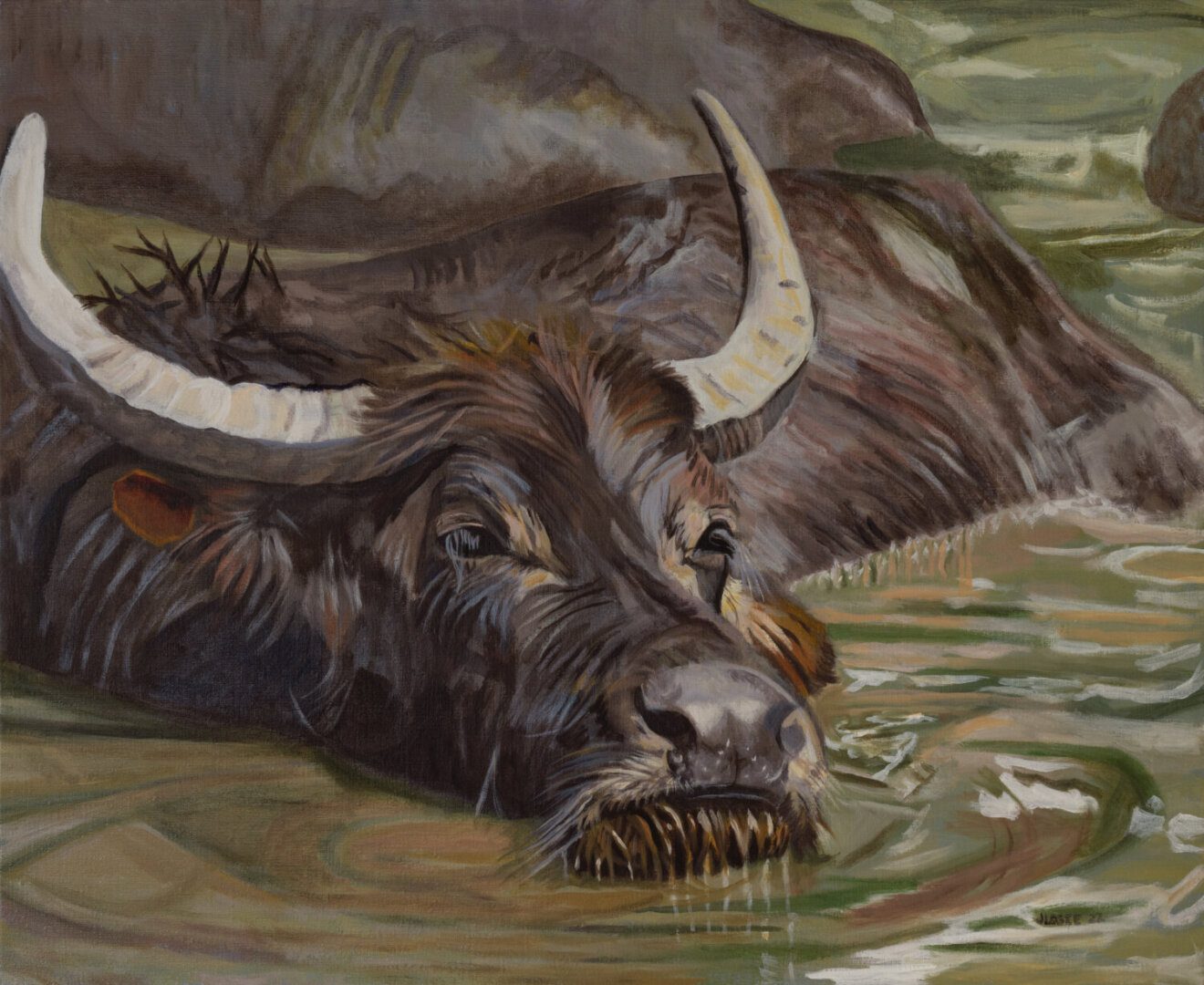 oil Painting of Water Buffalo Bathing