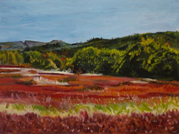A landscape painting named Blueberry Barrens in Hope