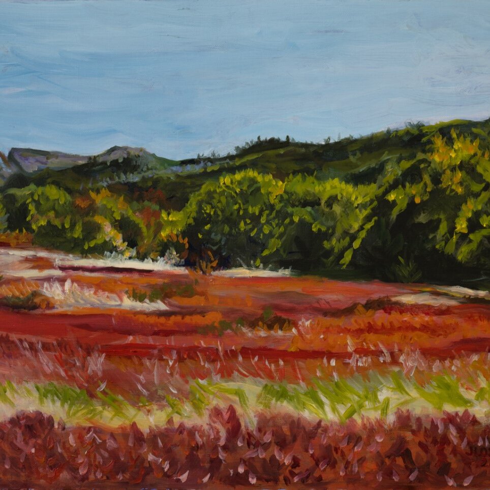 A landscape painting named Blueberry Barrens in Hope