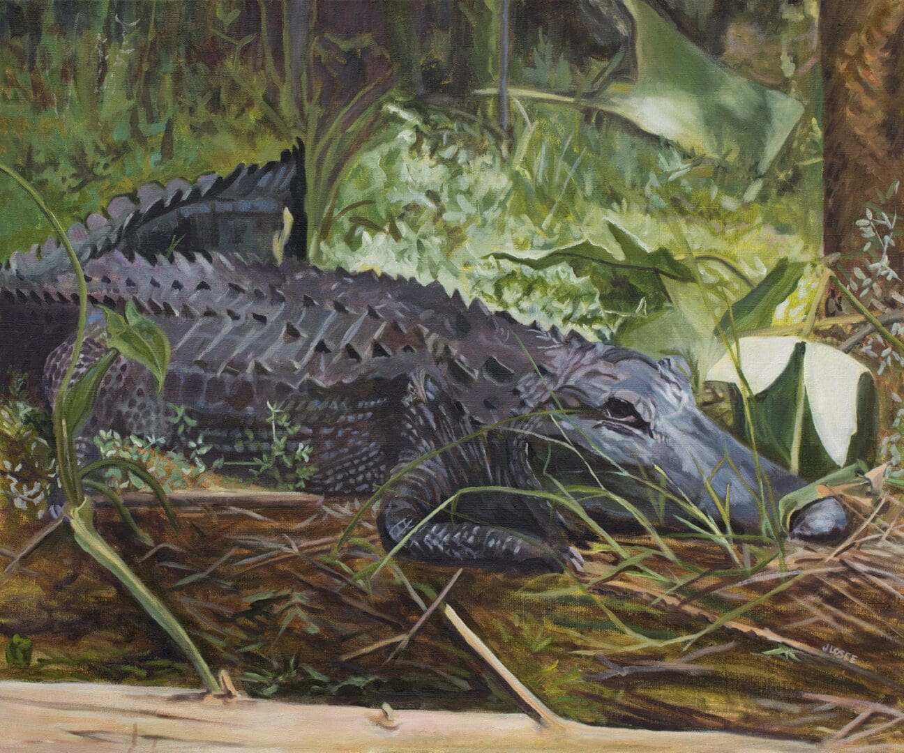 Crocodile resting in lush green foliage.