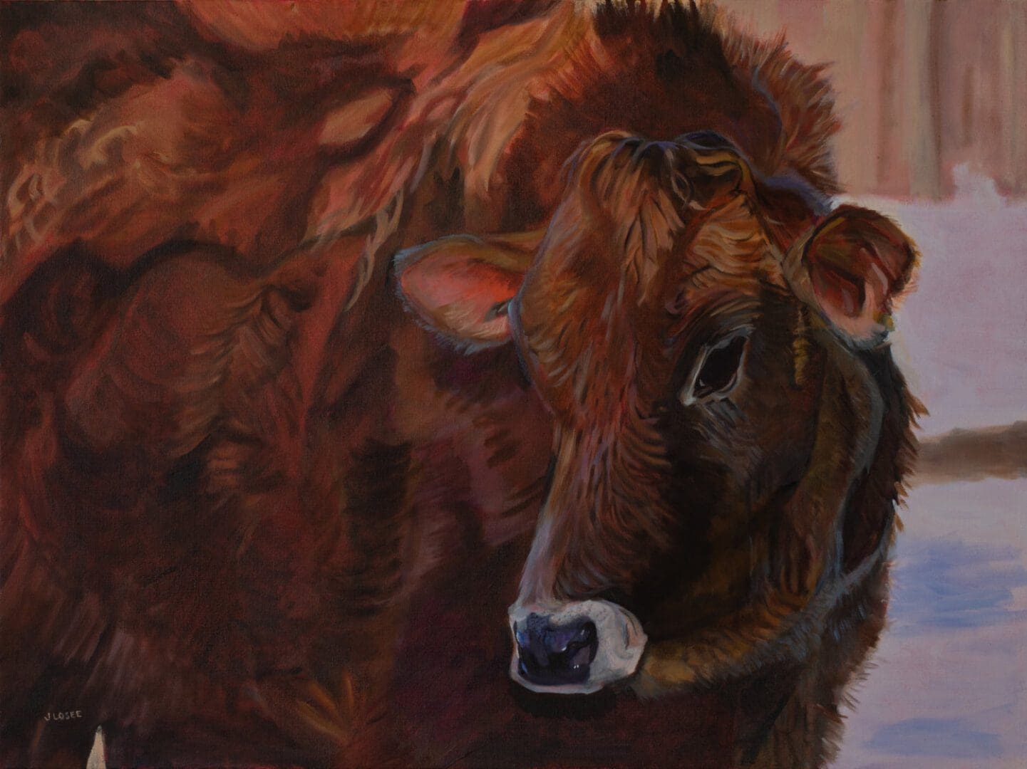 Brown cow with textured fur portrait.