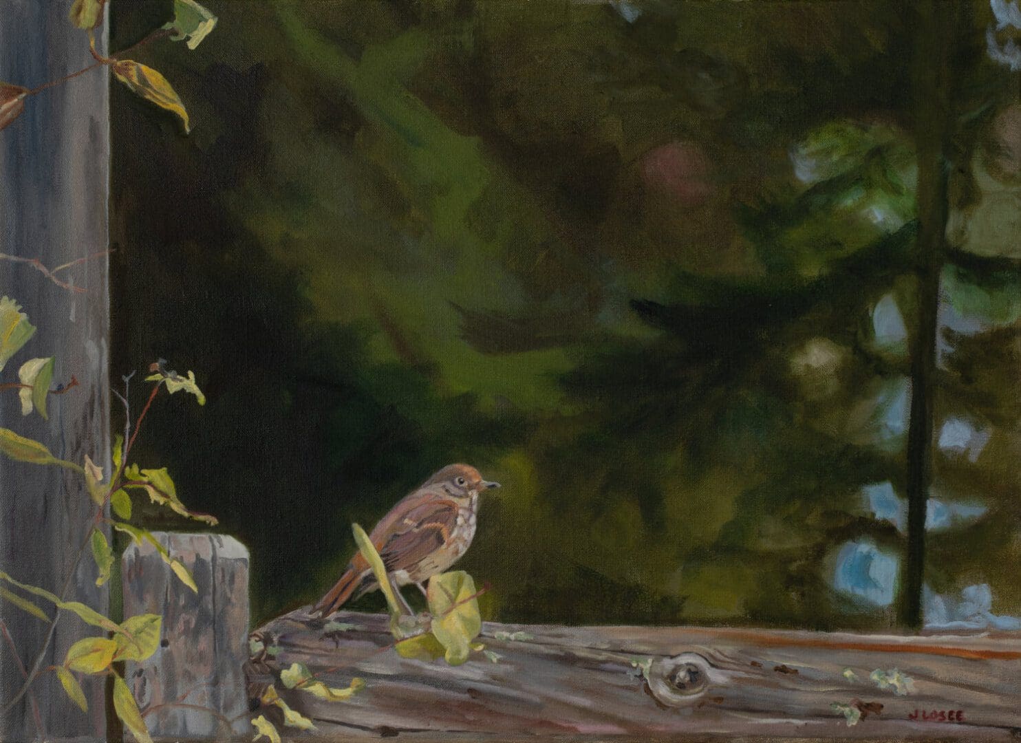 Bird perched on wooden ledge in forest.