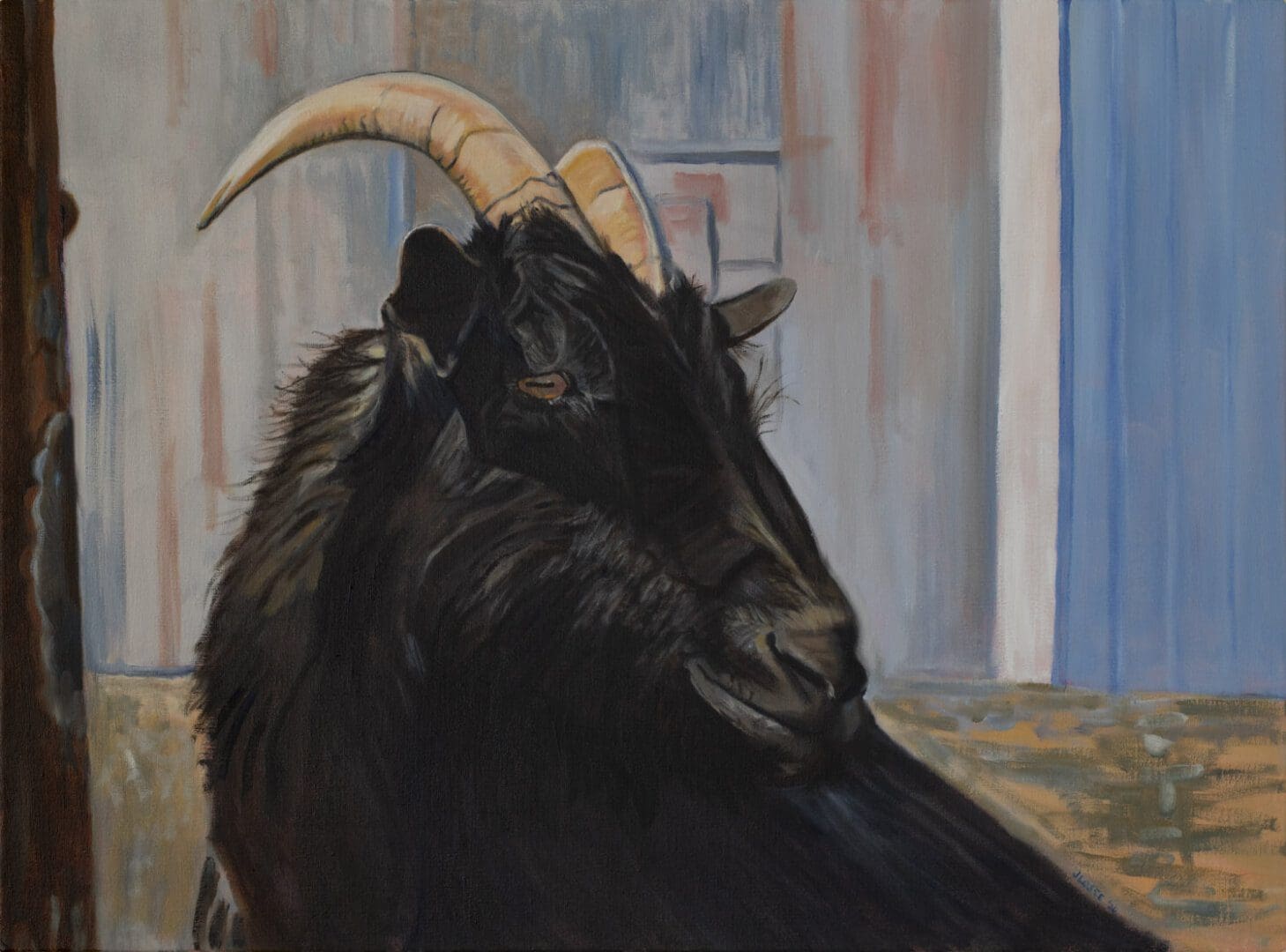Black goat with large curved horns.