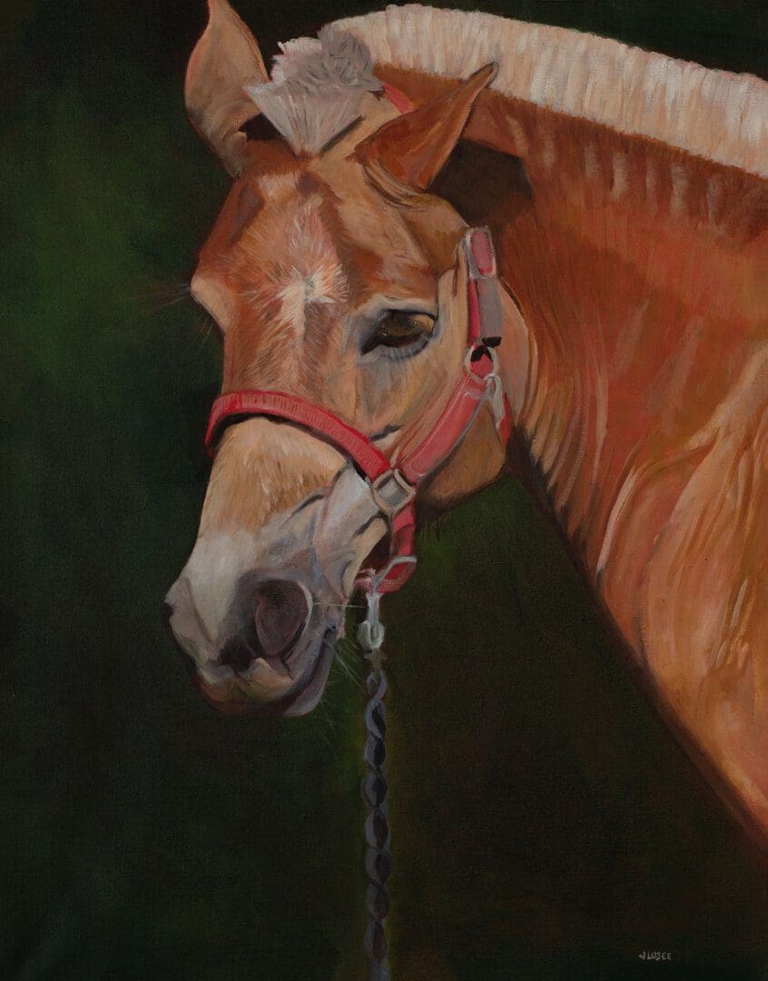 Painting of a horse with red halter.