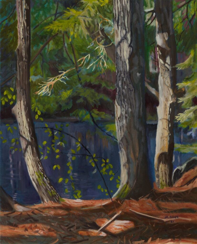 Forest scene with trees by a lake.