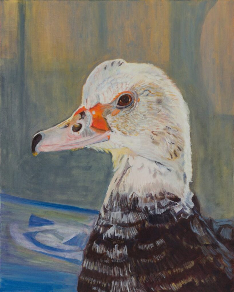Painting of a duck with colorful background.