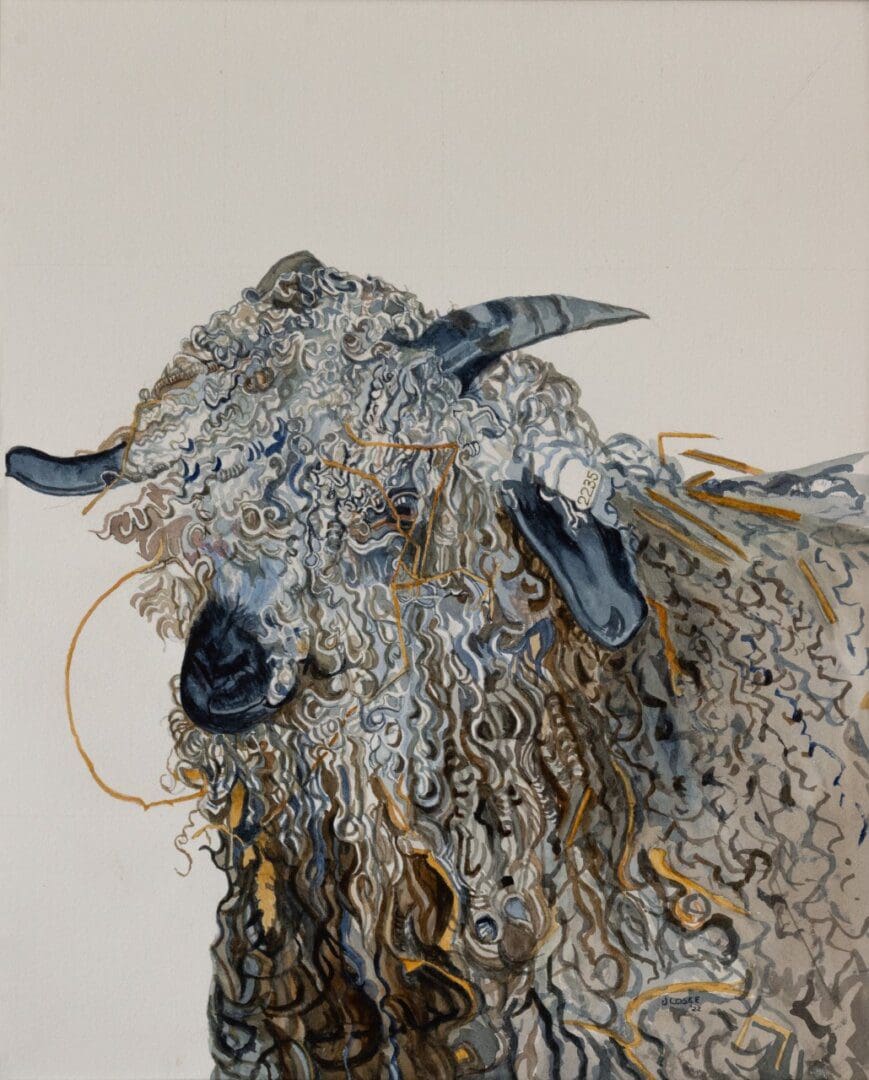 Curly-haired goat with detailed horns illustration.