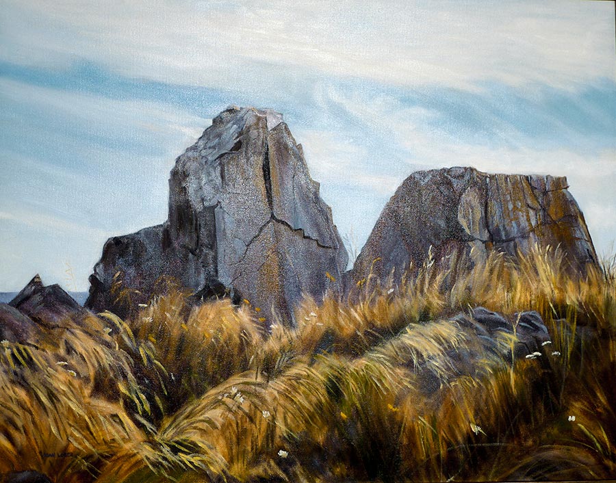 Rocky landscape with tall grass and sky.