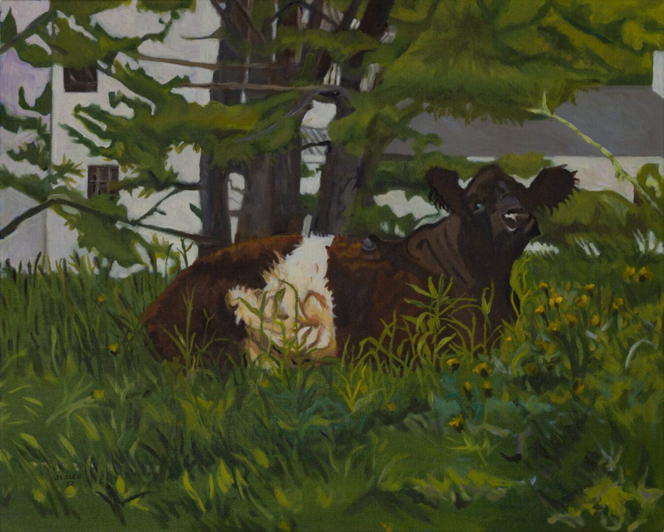 Cow resting in lush green field.