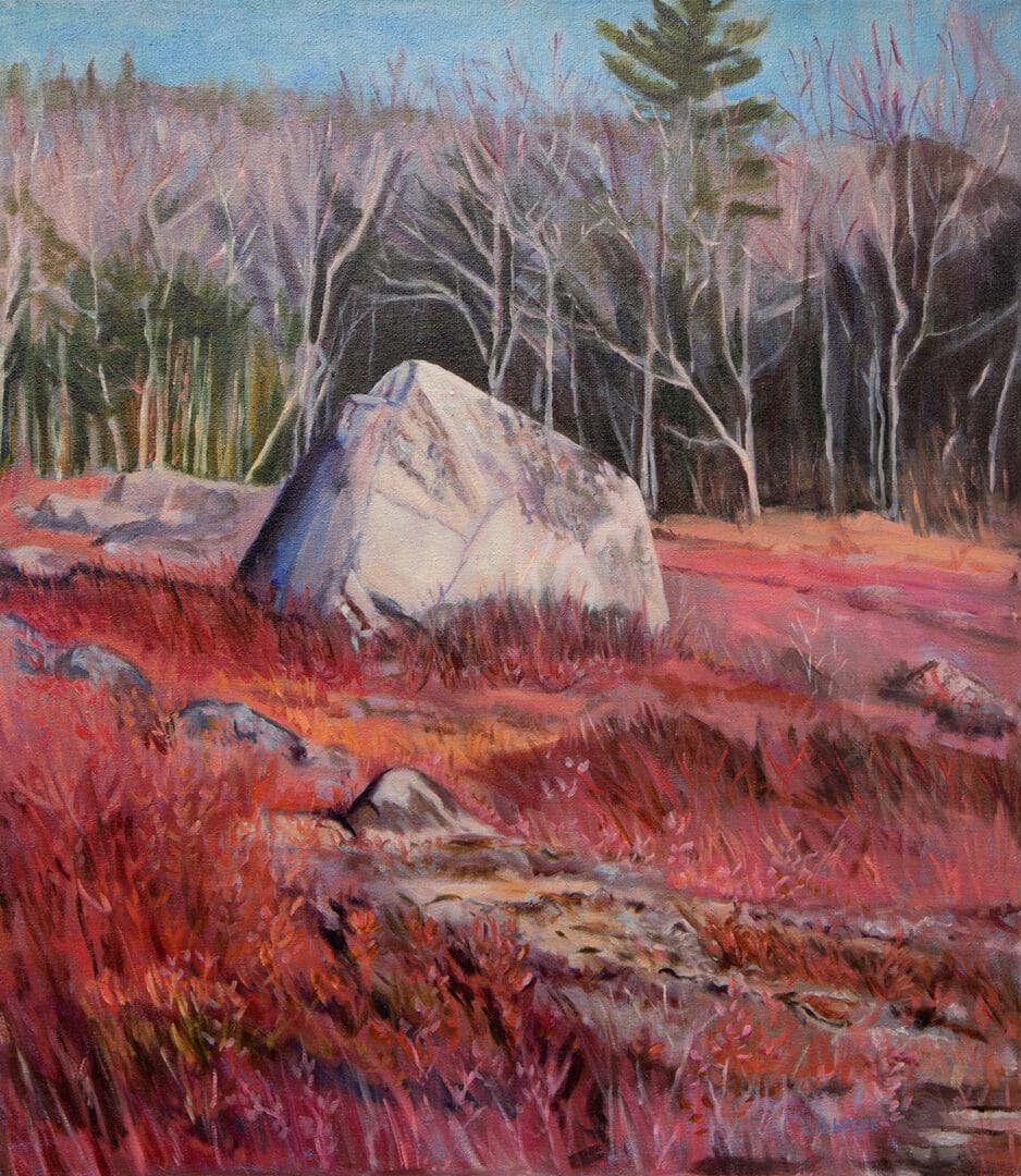 Rocky landscape with trees and colorful foliage.