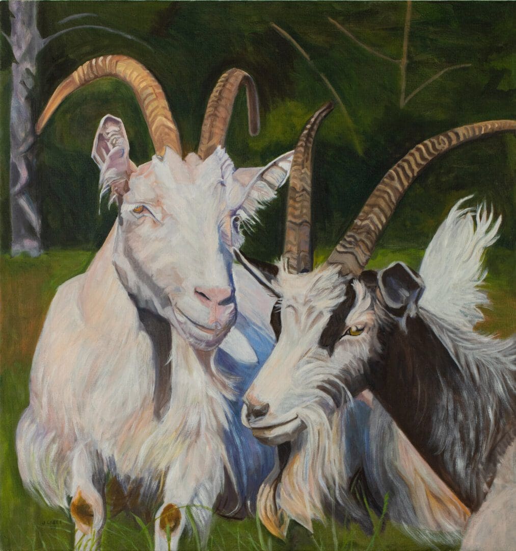 Two goats with large horns in nature.