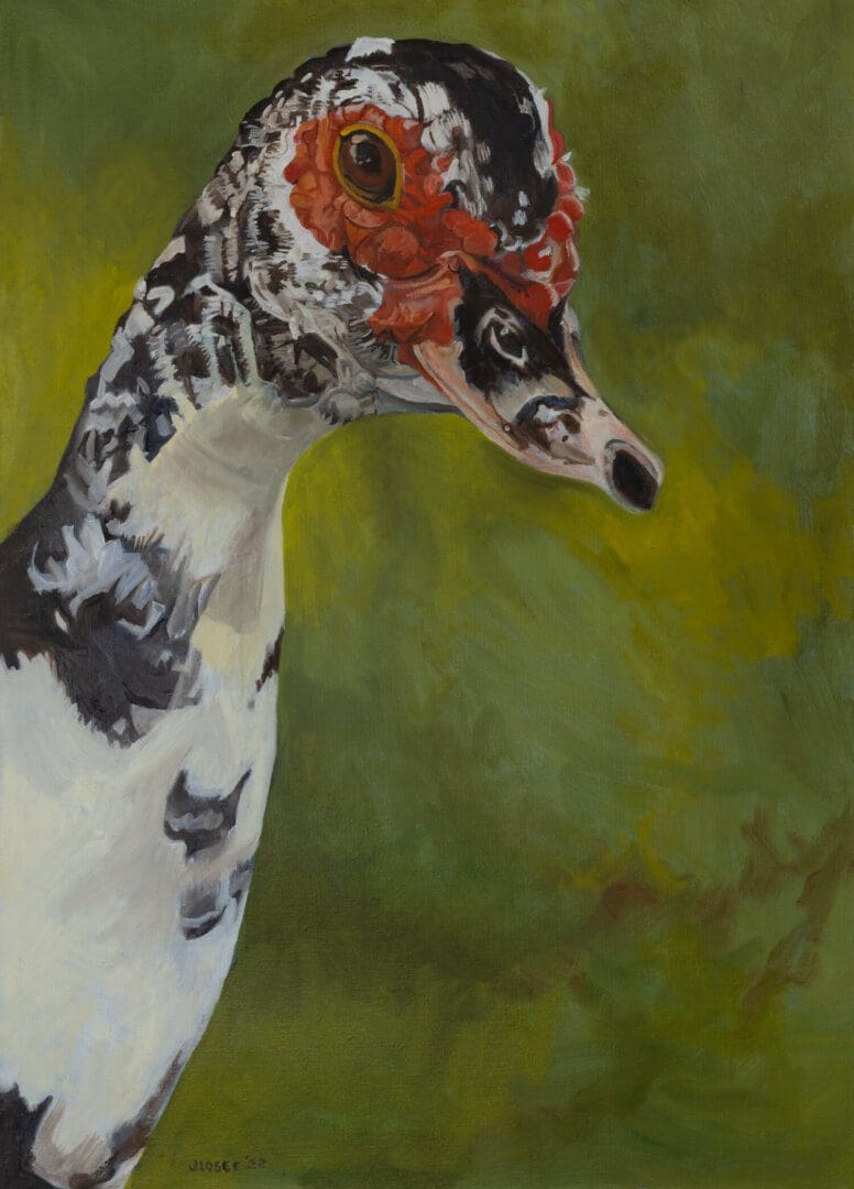 Duck with vibrant red and black markings.