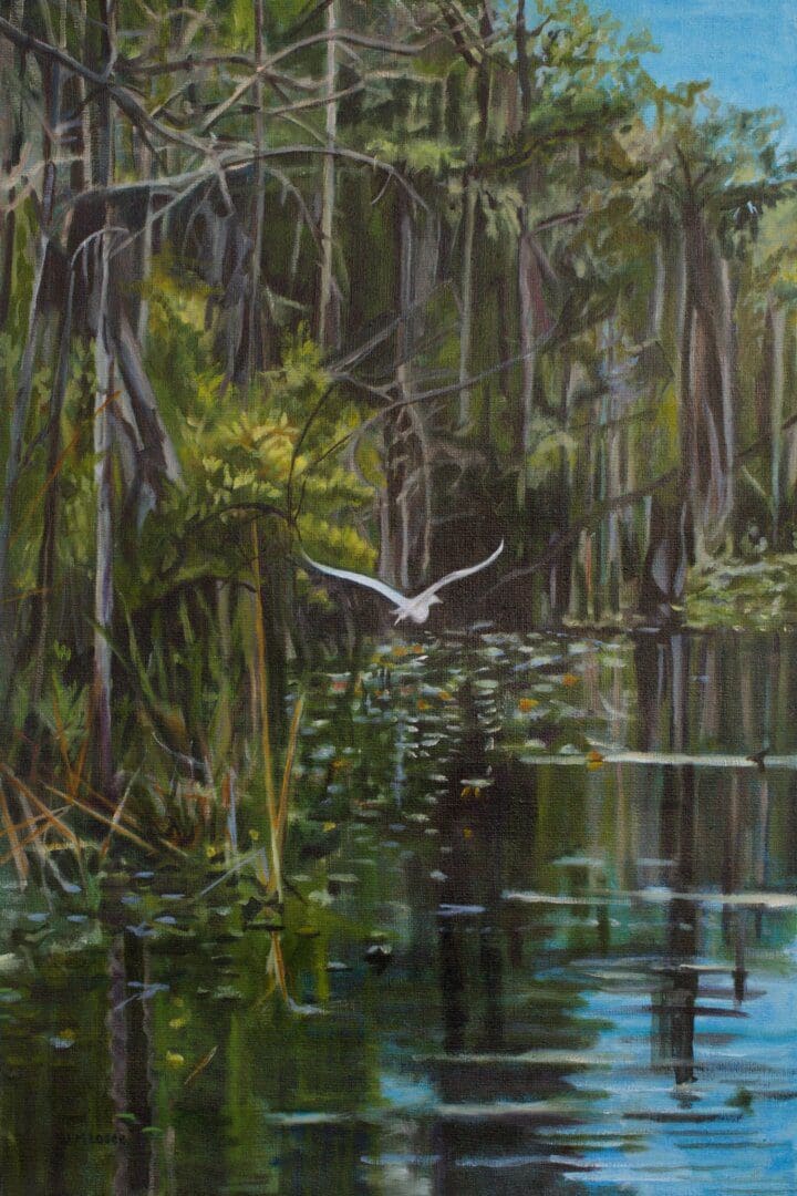 Bird flying over a tranquil forest river.