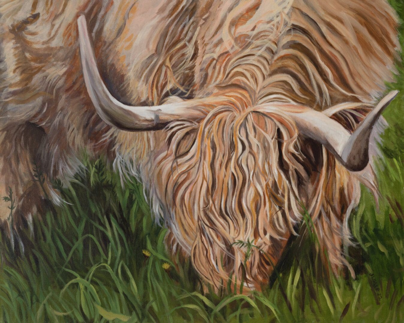 Highland cow grazing in lush green grass.