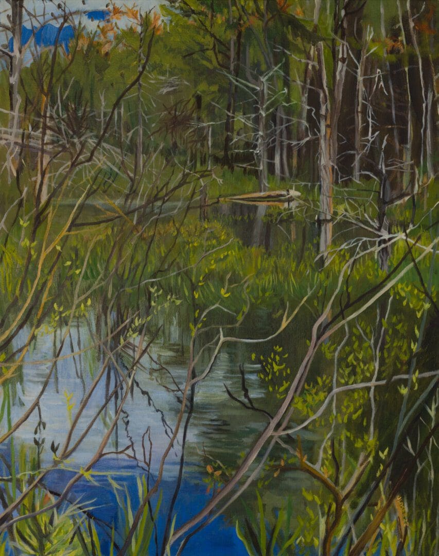 Forest scene with trees and reflective water.